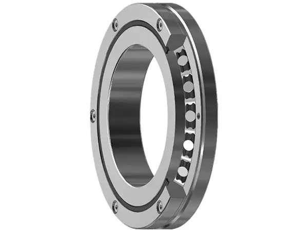 Slewing Bearing