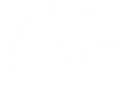 Aokai Bearing
